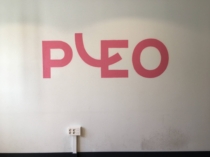 Rotulación de logotipo en las oficinas de Pleo