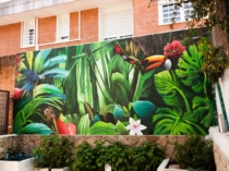 Murales-pintados-tropico