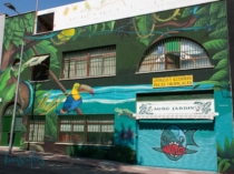 Murales-pintados-selvas-en-fachadas