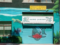 Murales-pintados-selvas-tropical-en-fachadas