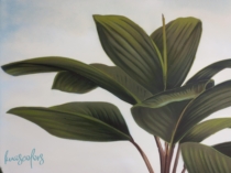 Murales-plantas-pintadas