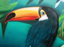 Murales-pintados-exterior-pajaros