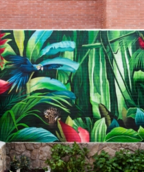 murales-selva-pintados