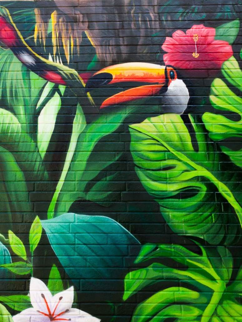 mural-graffiti-jungle-